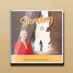 Standing in the Gap Audio CD