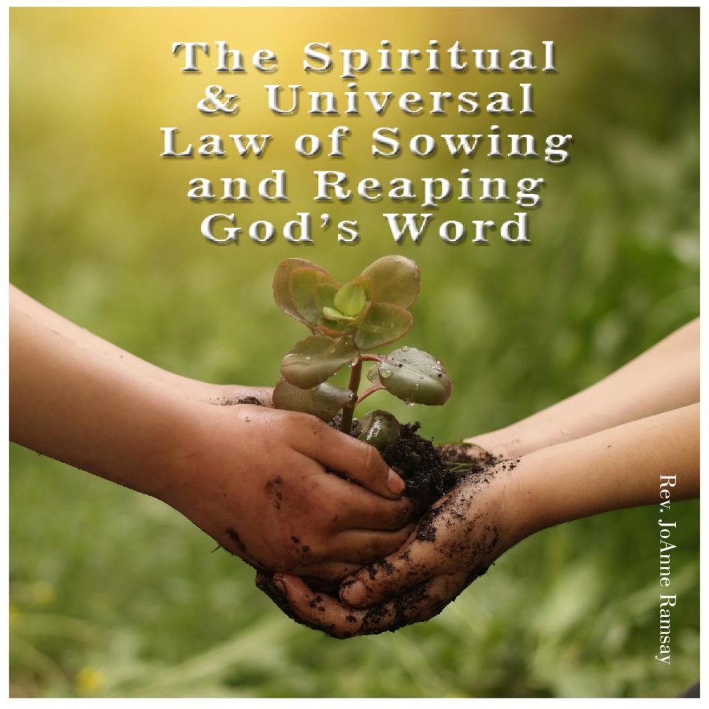 The Spiritual & Universal Law of Sowing and Reaping