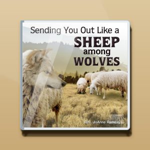 Sending You Out Like Sheep Among Wolves Audio CD
