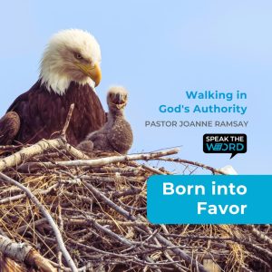 Born into Favor